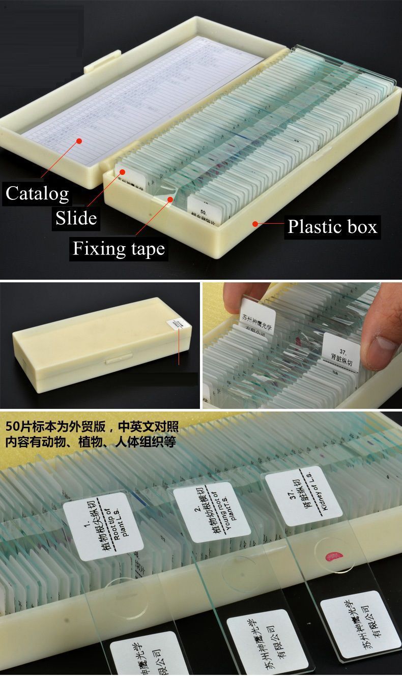 50pcs Glass Prepared Microscope Slides Biological Microscope Specimen Set
