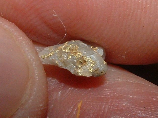 GOLD QUARTZ SPECIMEN .33 GRAM BLUE MTNS OREGON GOLD