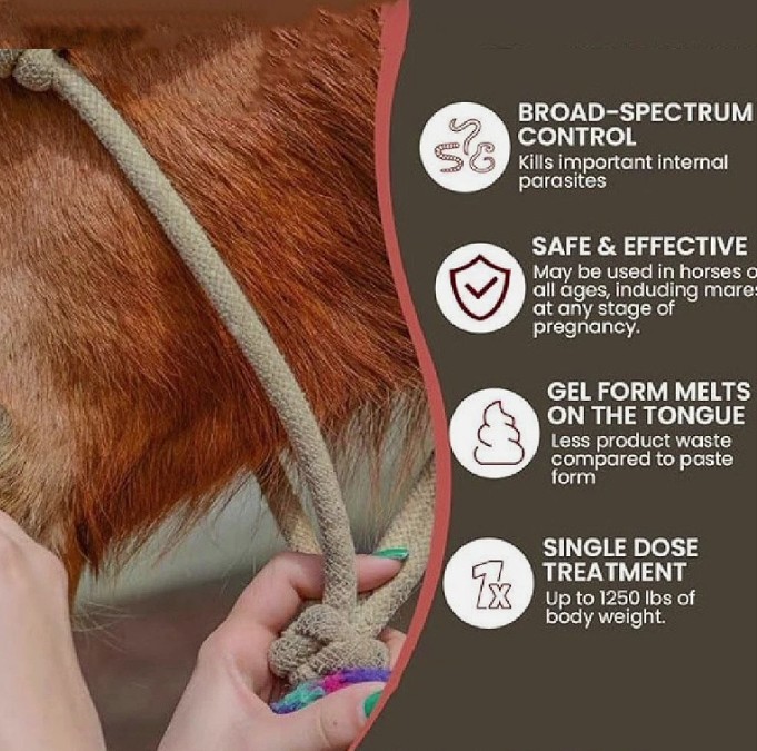 1 Pack New Paste Wormer Horse Dewormer Apple Flavor in US Free Delivery