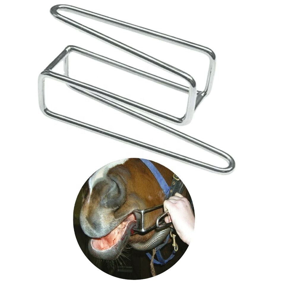 Equine Dentistry Cheek Retractor Horse Dental Examination Tool Stainless Steel