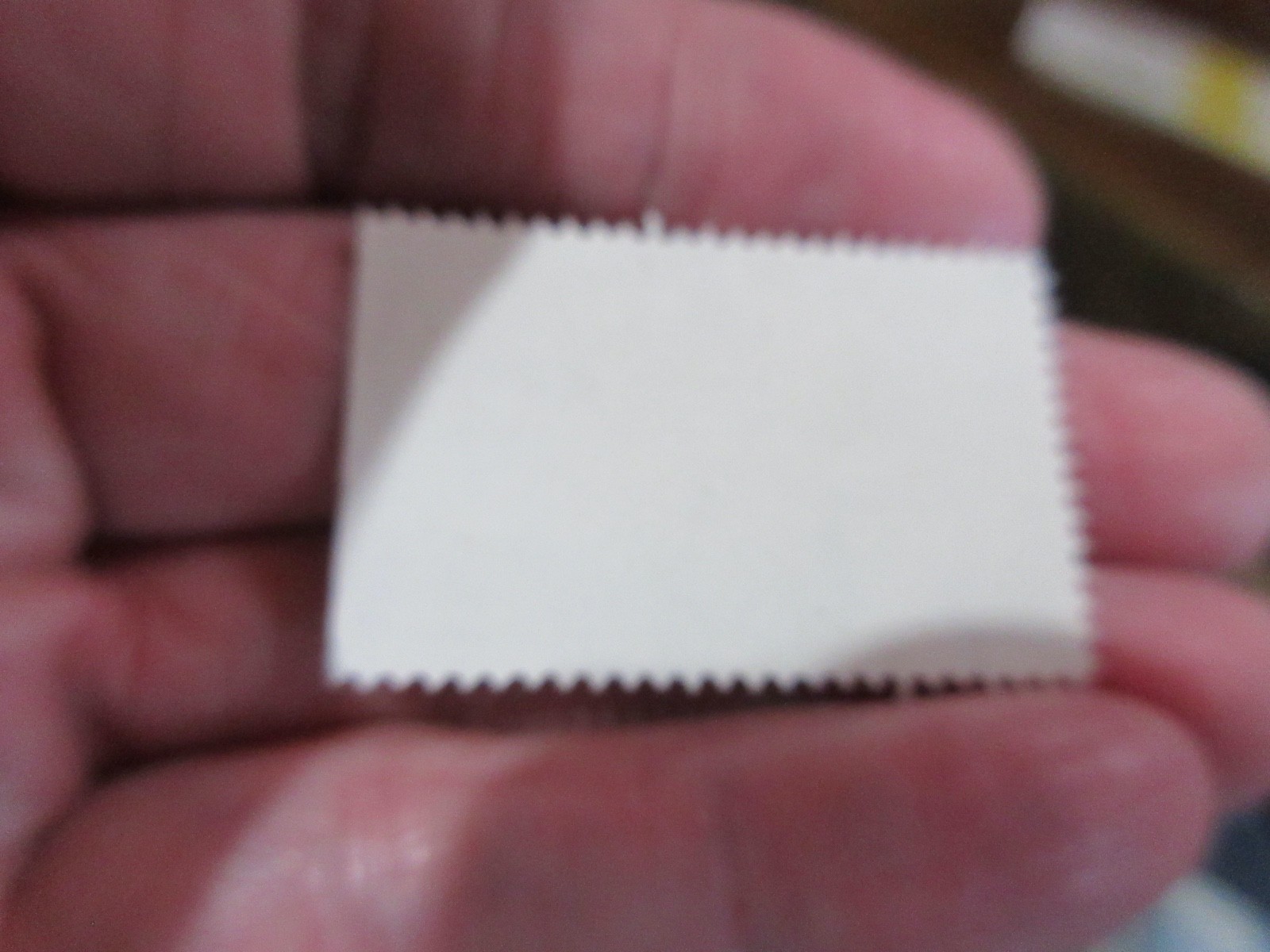 1957 Nebraska Pheasant and Quail Stamp Neb Game Commission (w19)