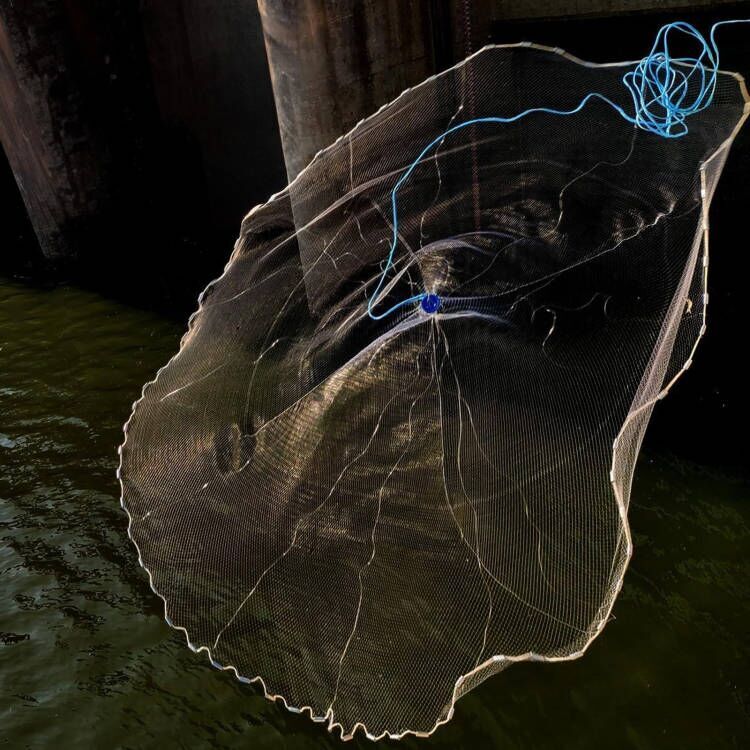 6/8/10/12/16FT Fishing Cast Net Bait Easy Throw Hand Cast Strong Nylon Mesh USA