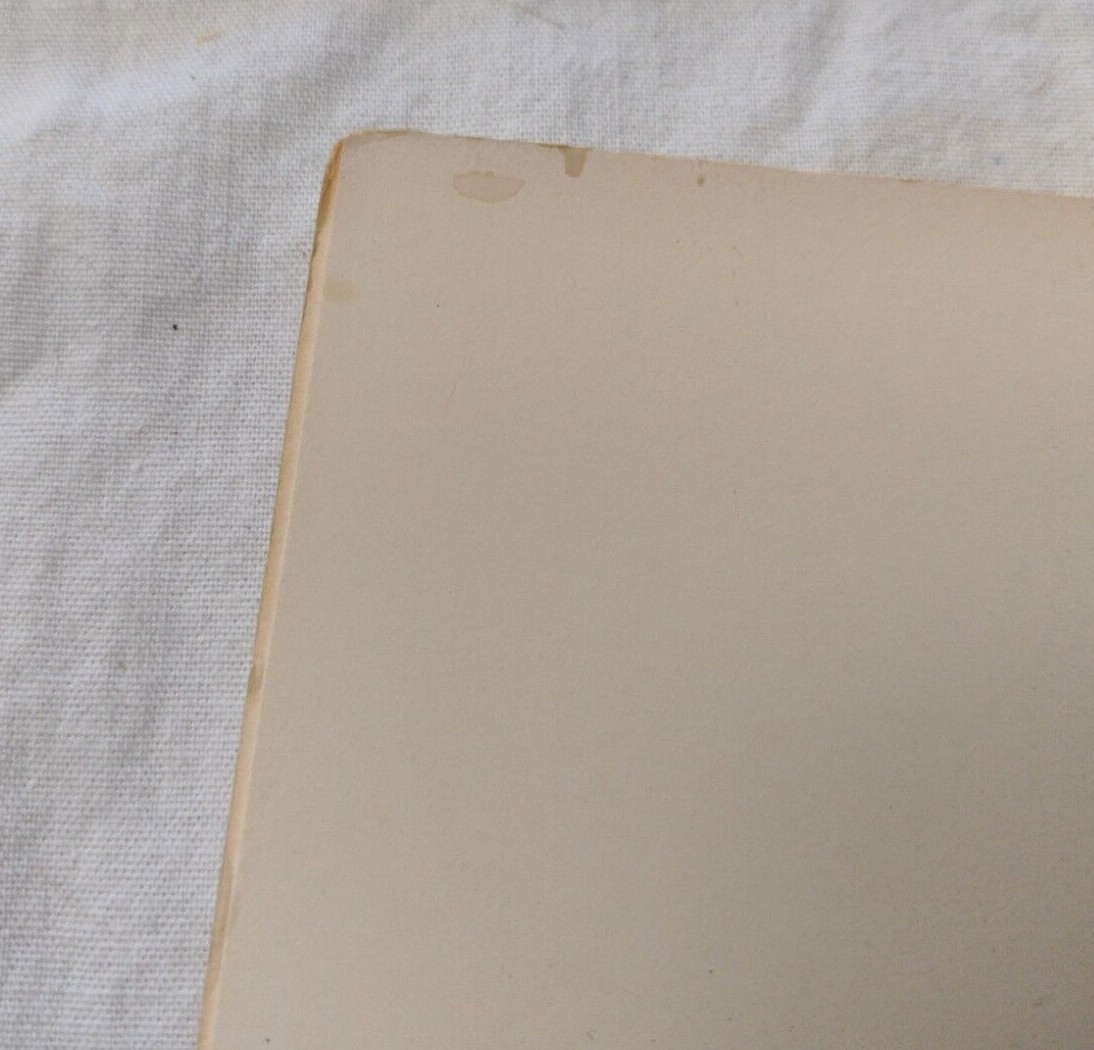 New Old Stock '75 Adventures Of The Wilderness Family 14x22 Theater Movie Poster