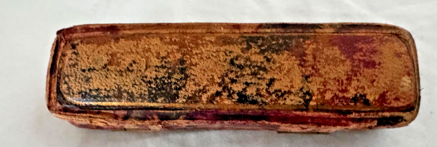 Antique Mother Of Pearl Cigarette Holder 14K Gold Tip w/ Case