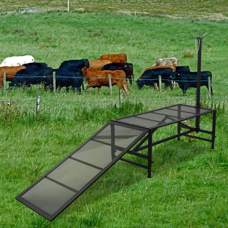 Livestock Stand Goat Milking Trimming Stand W/Ramp Adjust Height Nose Loop