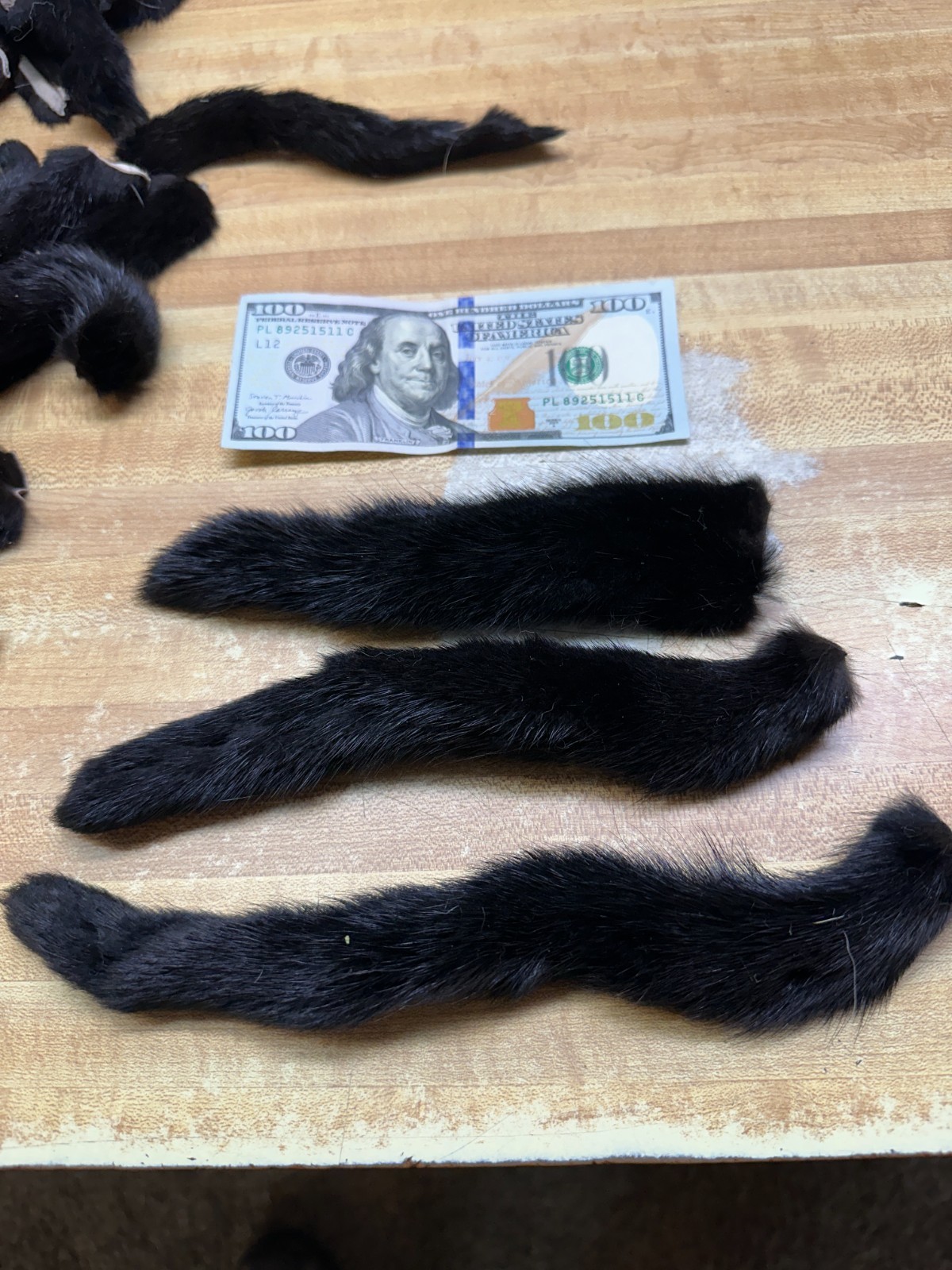 Black Mink Tail Fresh Just in Tanned you Get 1 Tail