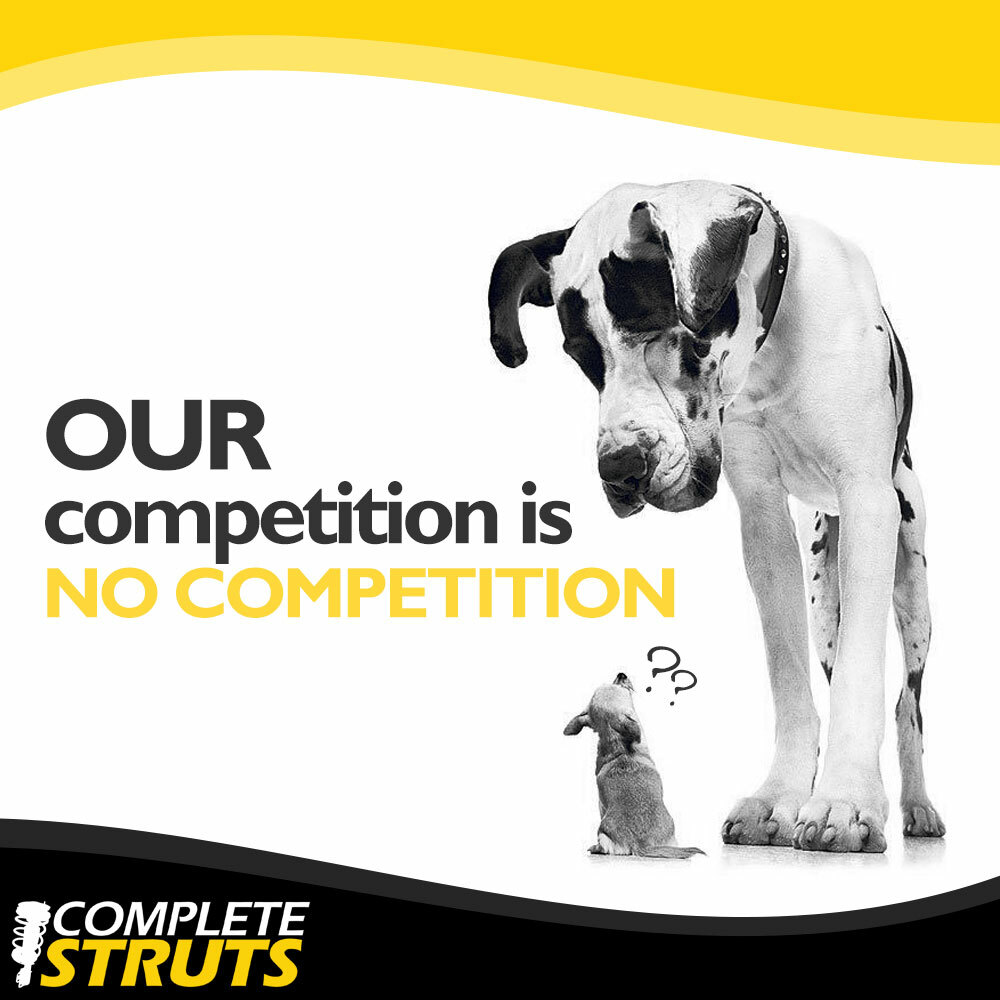 2013-2019 Ford Escape Front Complete Strut Assemblies & Rear Shock Absorbers