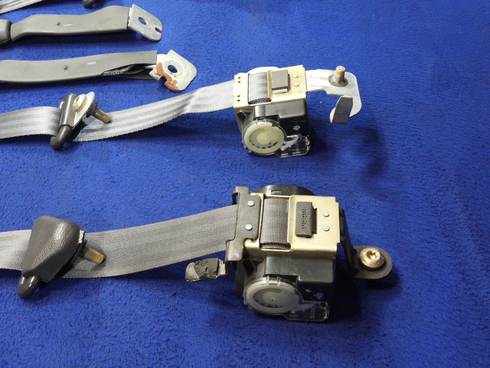 01 2001 Ford Mustang DK Charcoal Coupe Seatbelt Seatbelts OEM B64