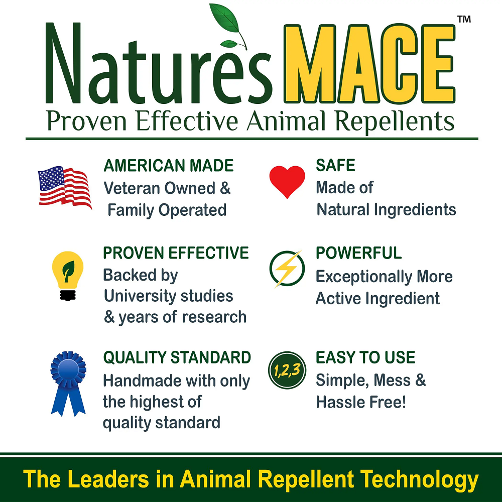 Nature's MACE 100% Pure Castor Oil Mole and Vole Deterrent