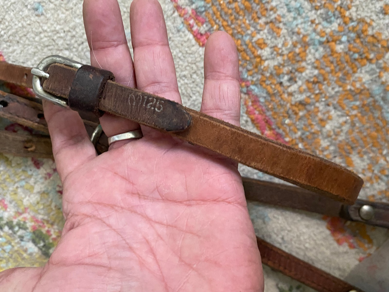 Circle Y working headstall used western tack FREE SHIPPING here