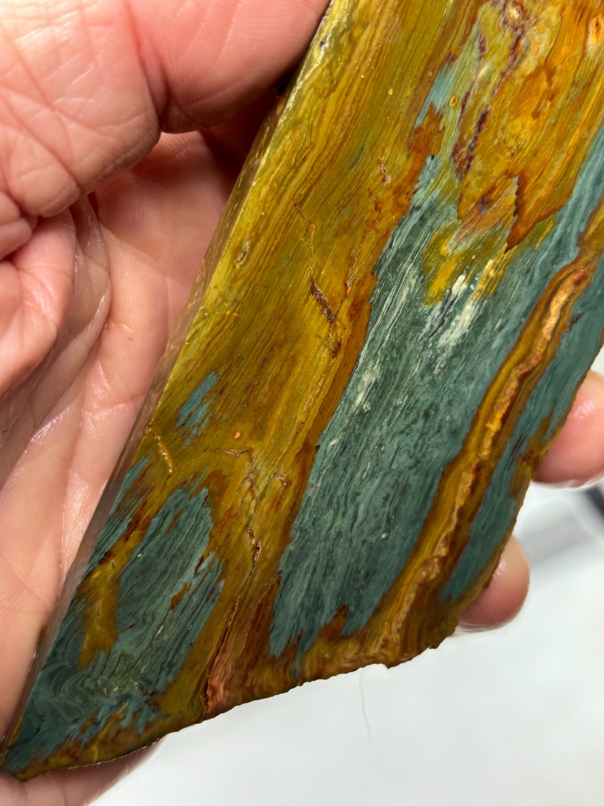 Gary Green Caldera Freedom Jasper Slab Cabbing Lapidary Combo Ship Avail