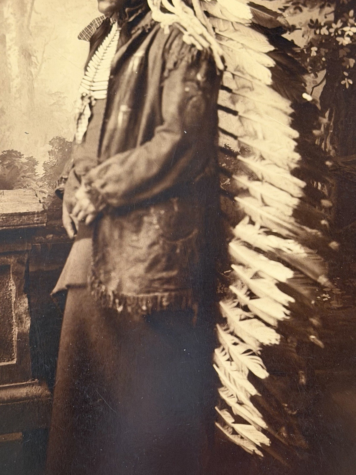 Antique Native American Indian Albumen Print "Chief John Grass" By: D. F. Barry
