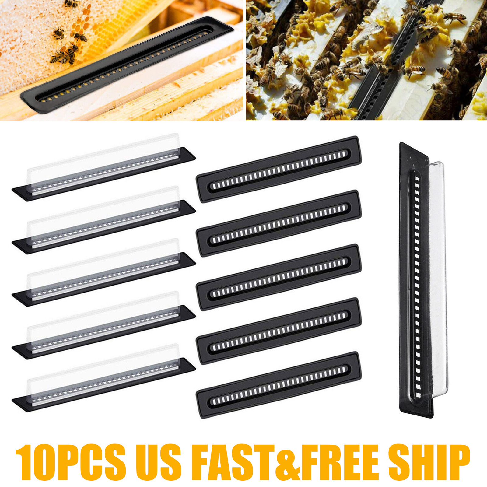 10X Plastic Small Bee Hive Beetle Blaster BeeHive Beetle Trap Beekeeping Tool US