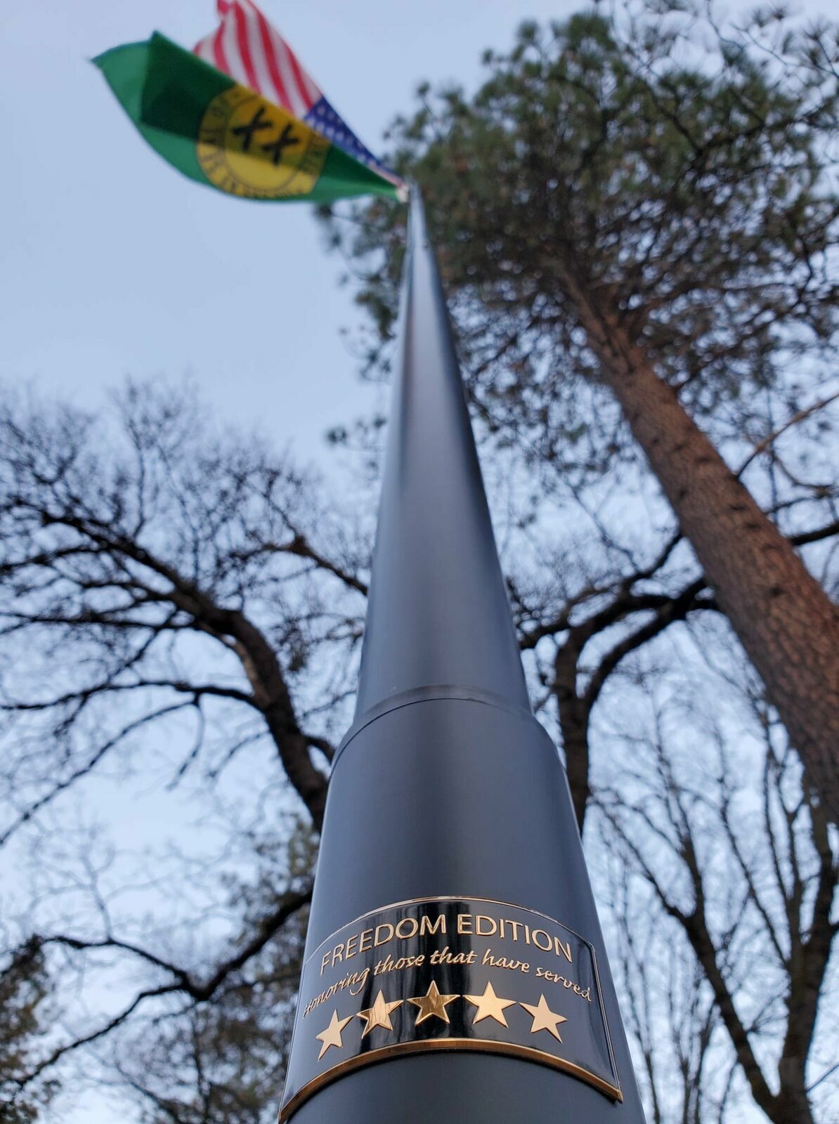 20' or 25' Delta Pin-Lock TELESCOPING Flag pole "Freedom Edition" (Black)