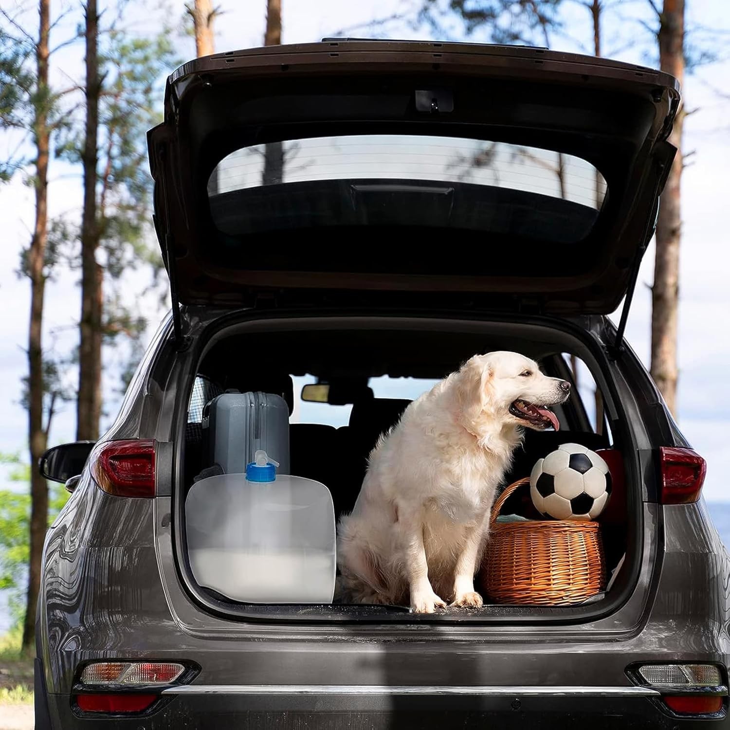 Collapsible Water Container with Spigot, 2×5.3 Gallon BPA Free Camping Water St