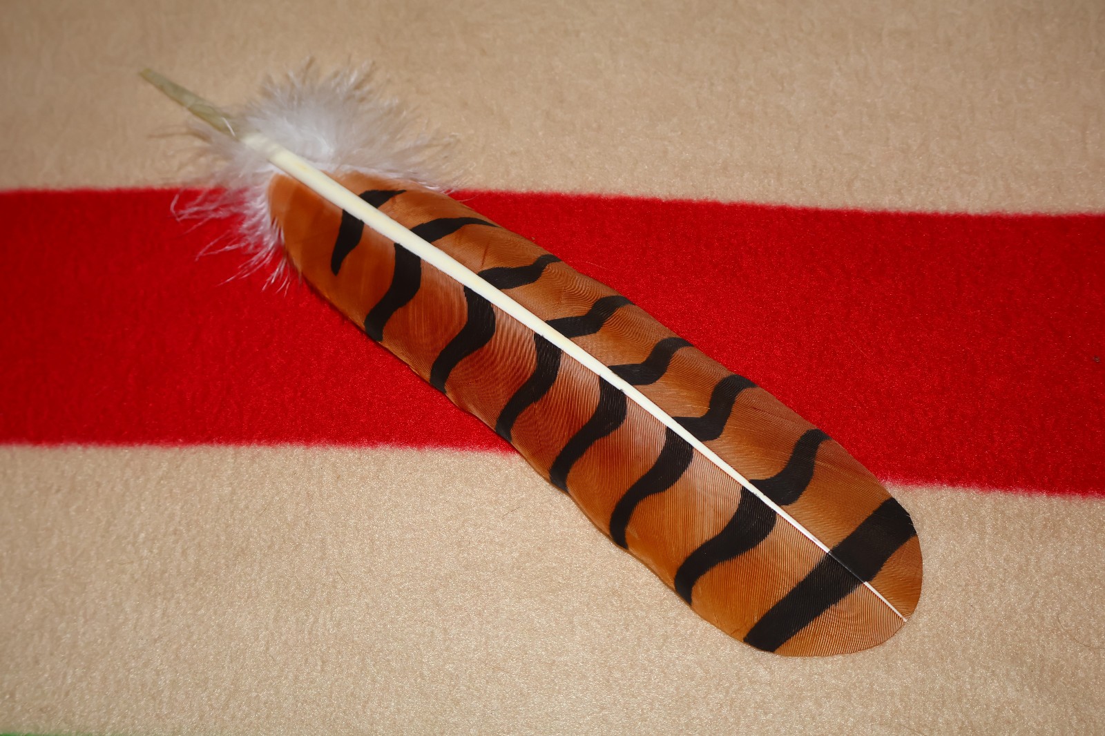 Native American hand painted Red-Tailed Hawk Feather
