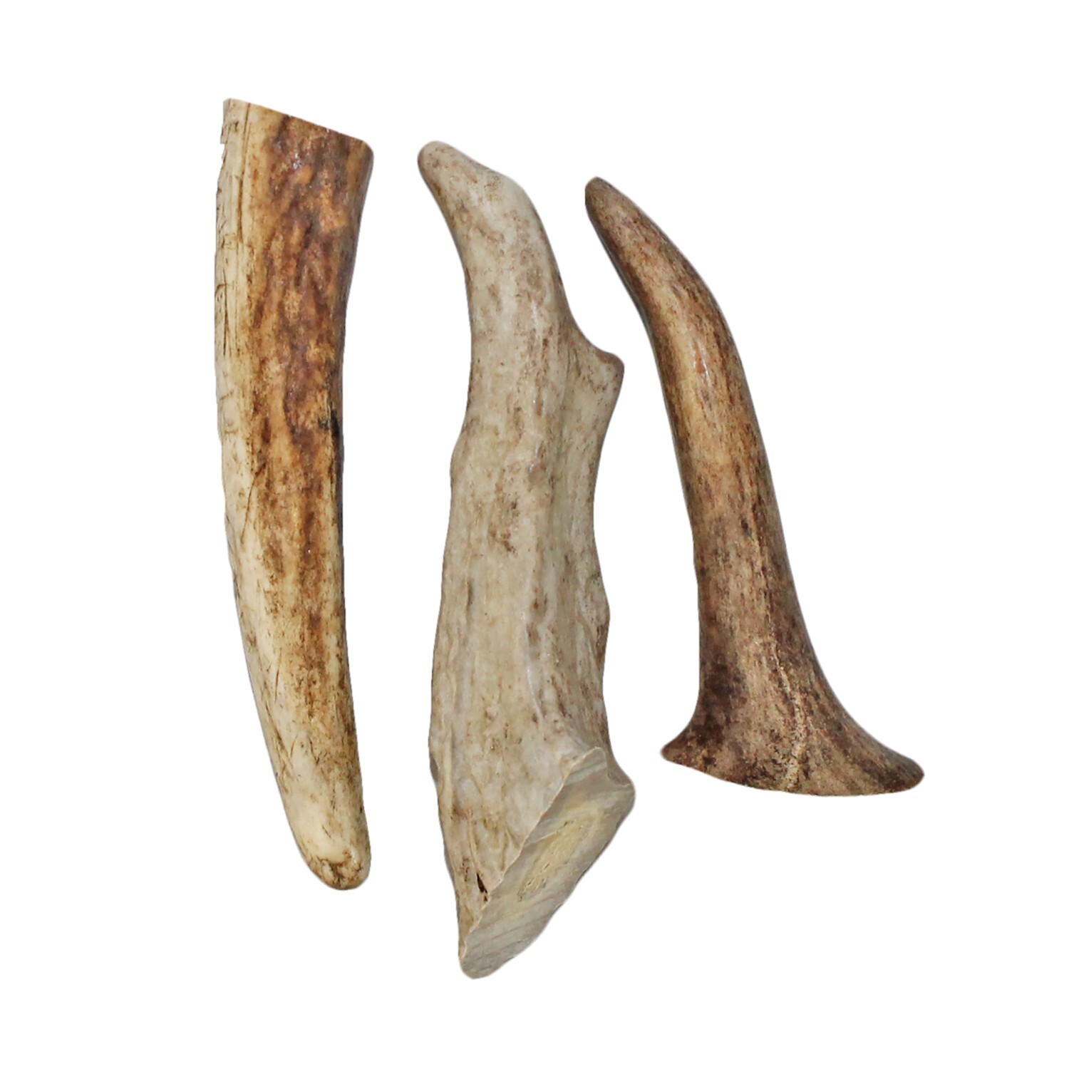 Antler Chews - Natural Source - Food for Chinchillas, squirrels and more