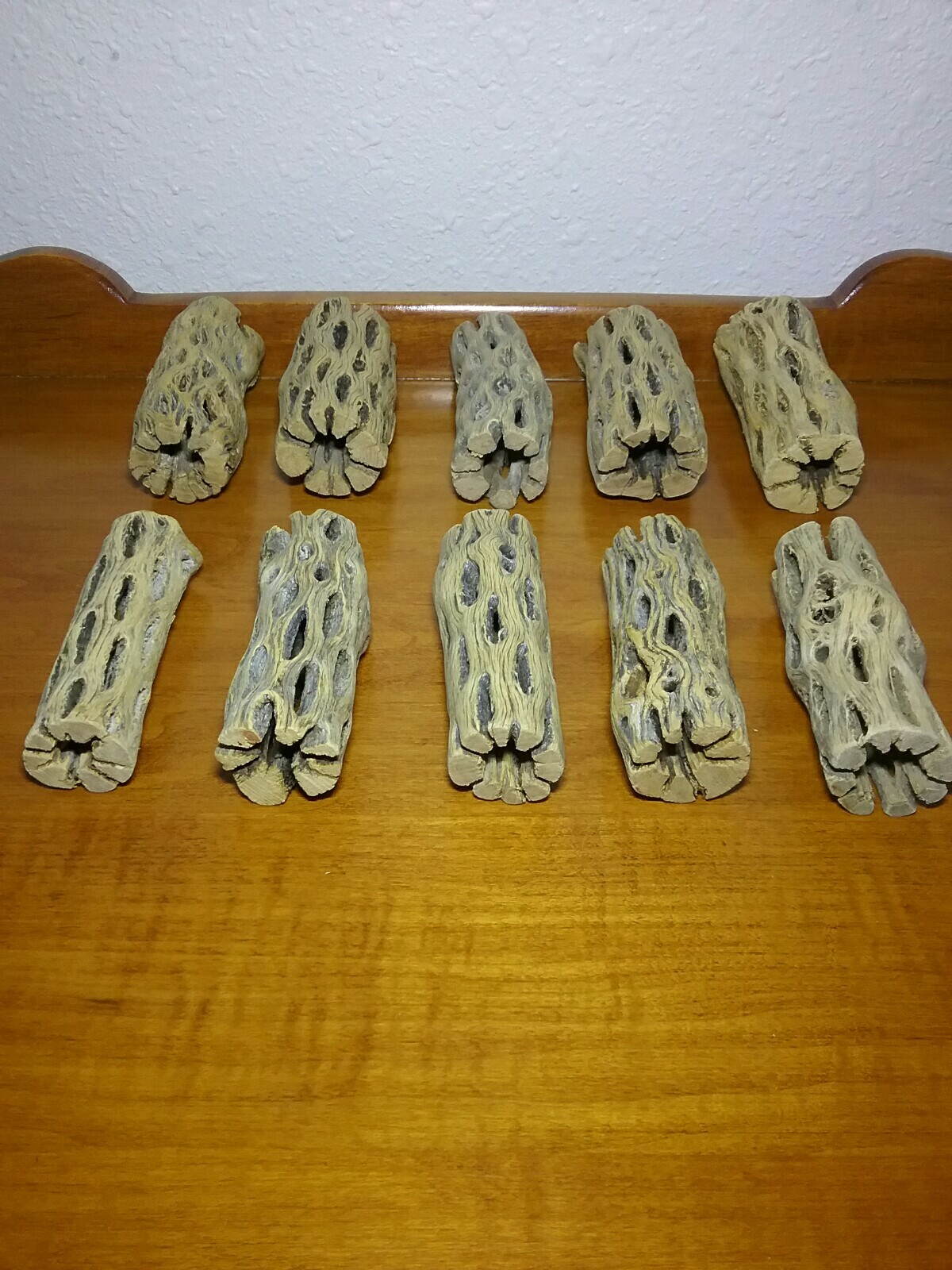 10 pcs CHOLLA Wood 3" L (~1" thick) | Shrimp Aquarium Air Plant | PRE-CLEANED!