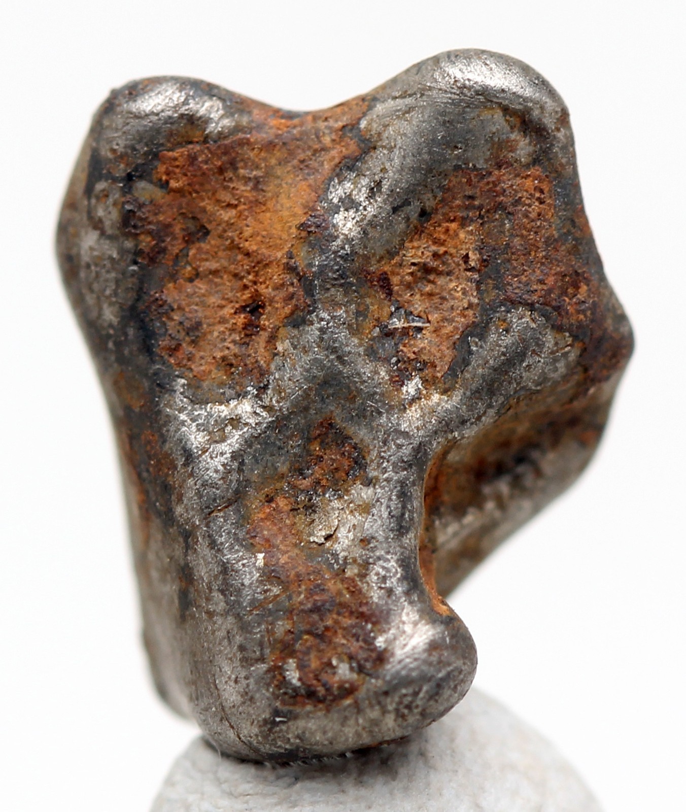 NWA 859 TAZA Iron Meteorite Specimen Space Rock Natural Patina NORTHWEST AFRICA