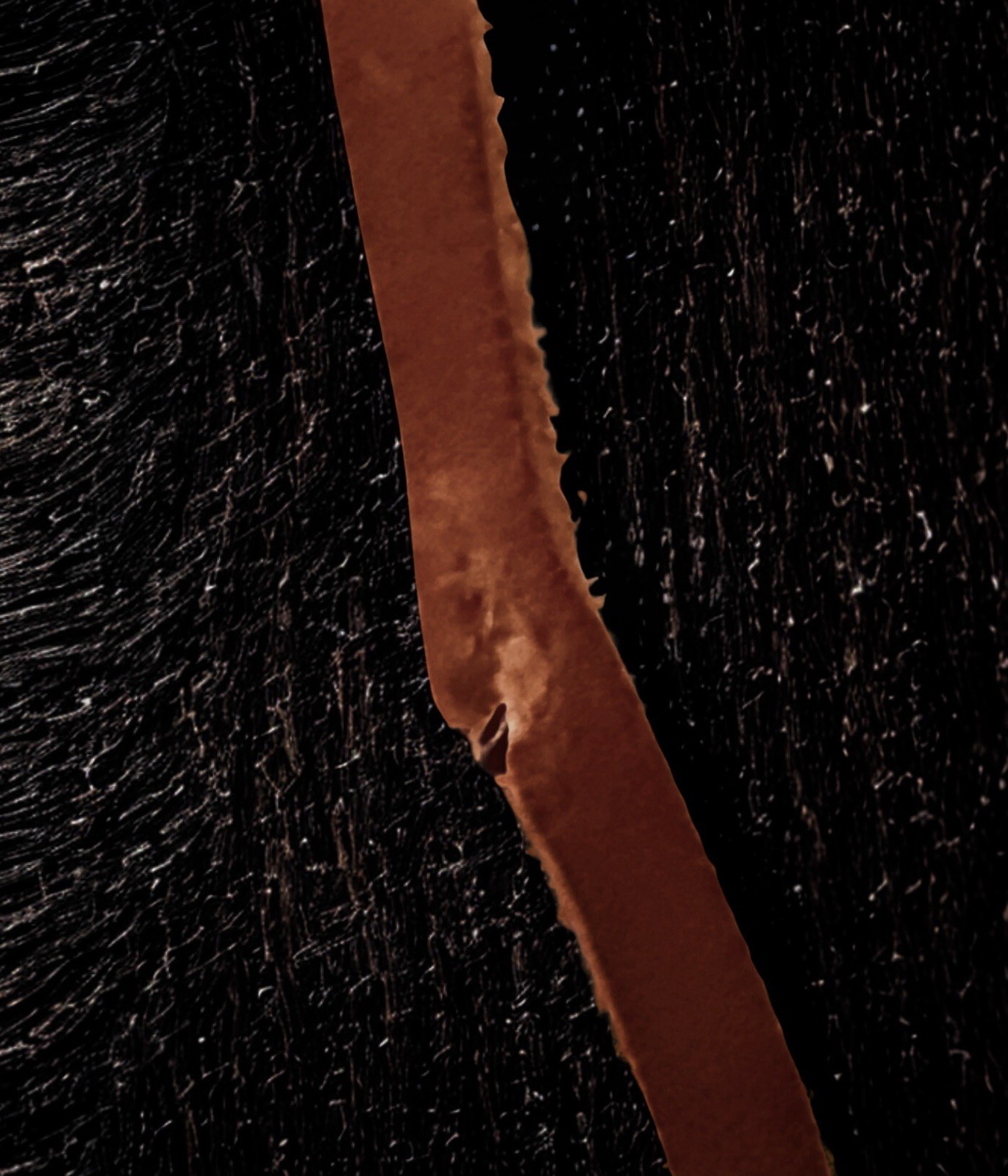 Vintage Hand-Tooled Leather Canteen - Artisan Phoenix Bird Design - 8.5" Round