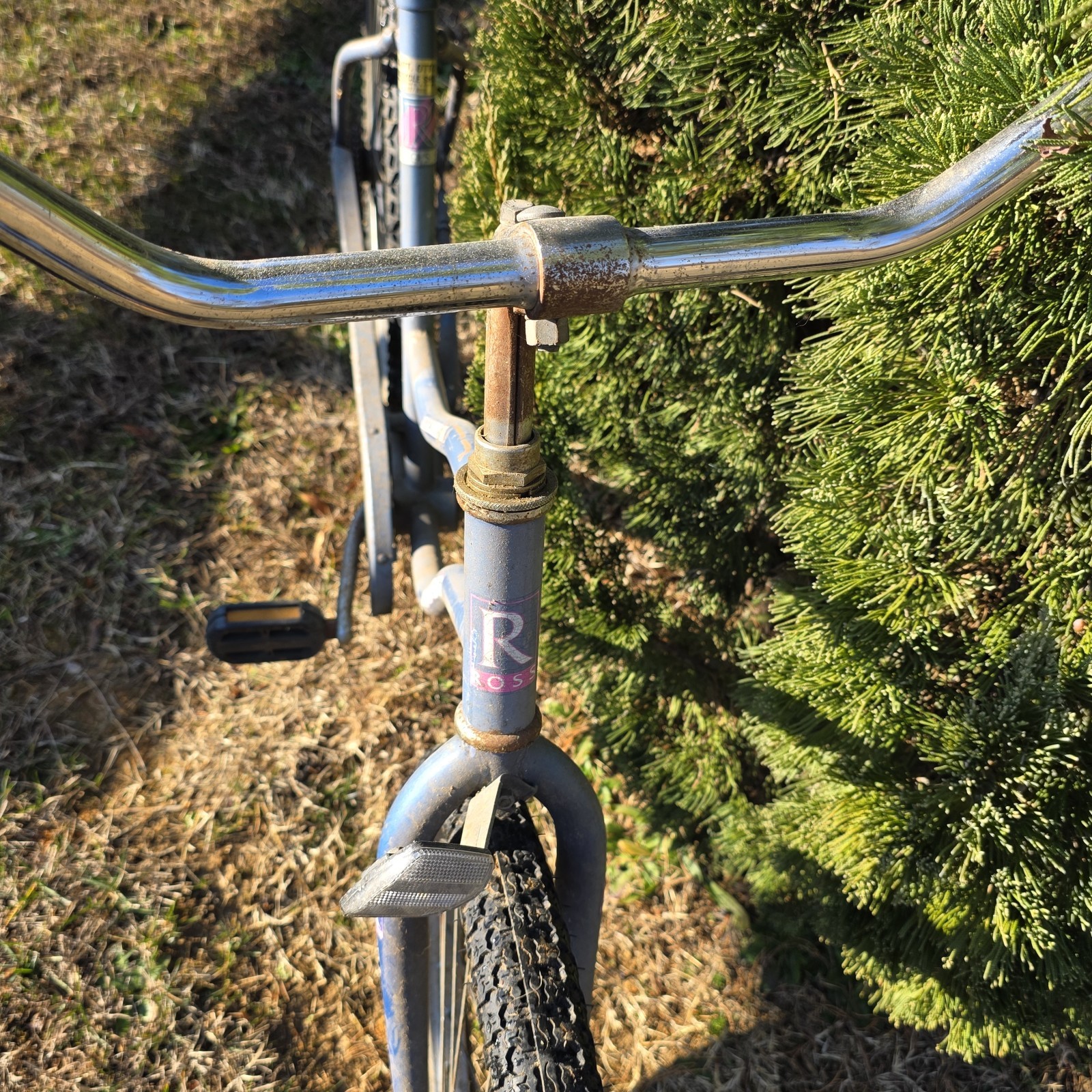 vintage Ross Beach Commander cruser bike