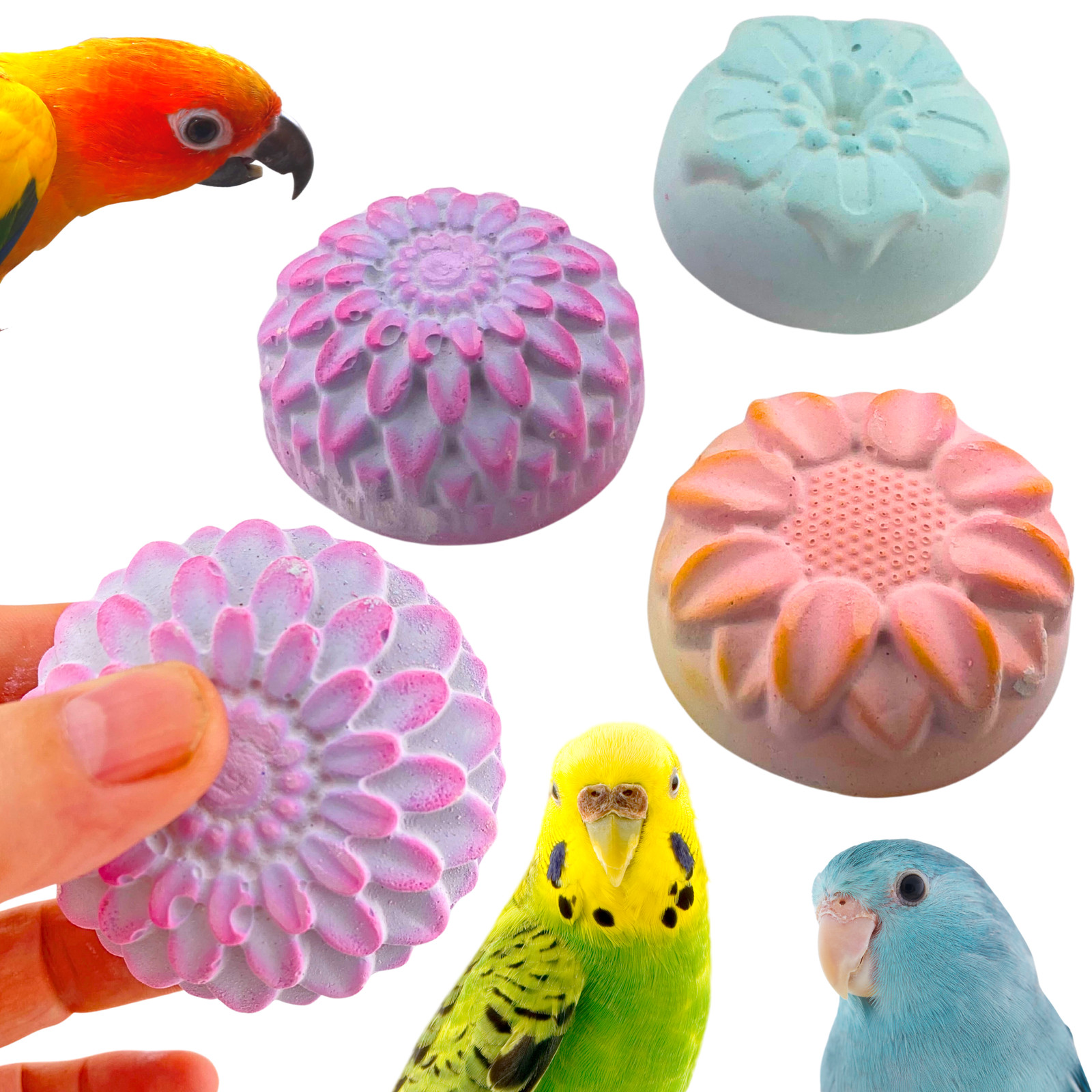 Bonka Bird Toys 2860 Flower Power Calcium Treat Parrot Beak Bone Health Mineral