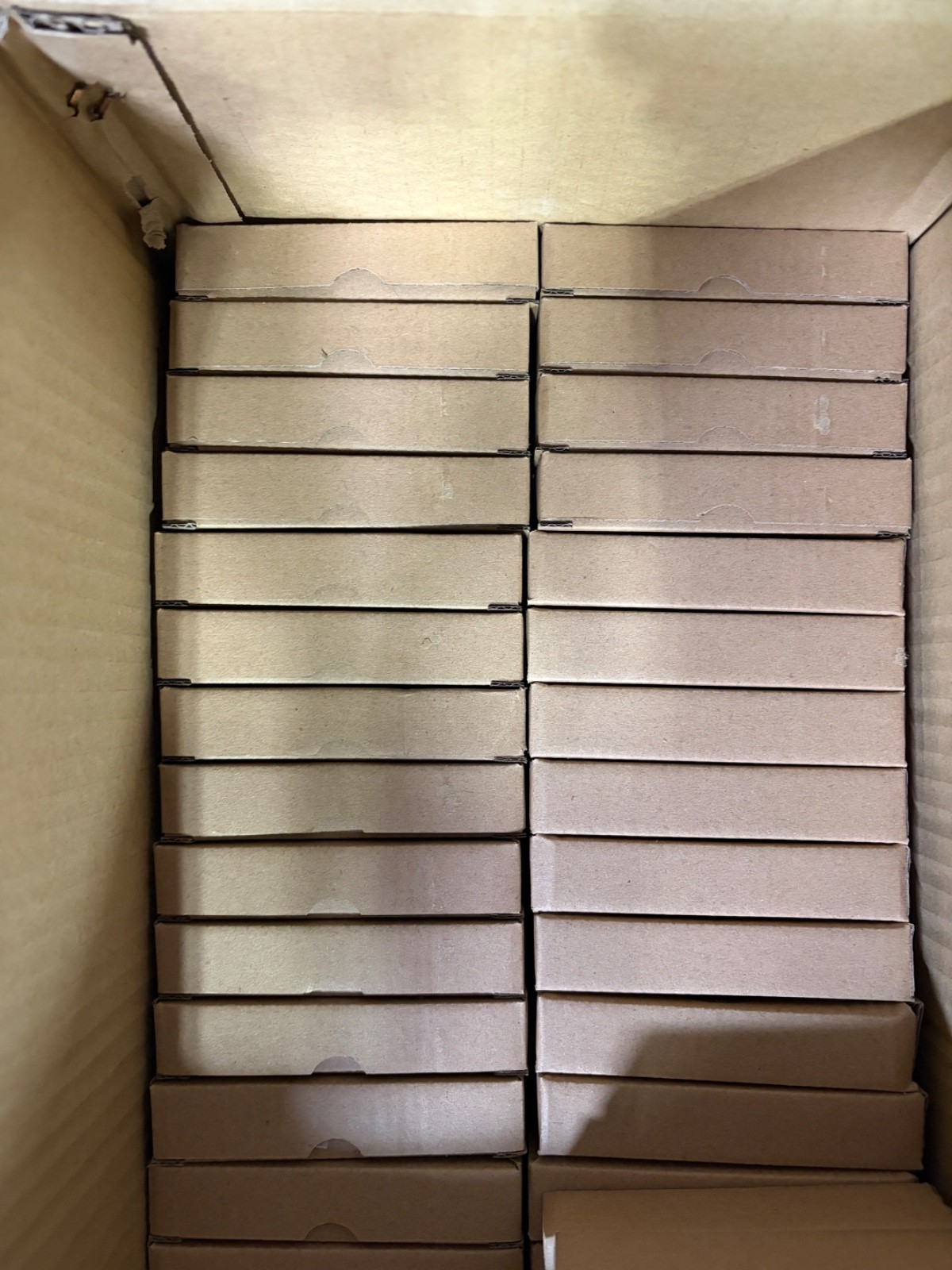 LOT 10 Ruckus Wireless Mount Bracket - Wireless Access Point 902-0120-0000