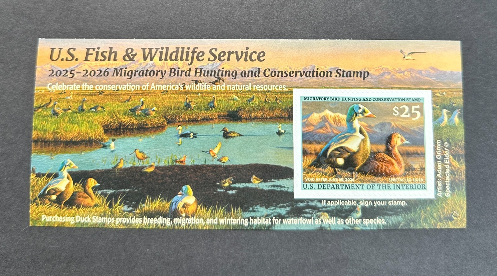 #RW92A 2025 - 2026 - US Federal Duck Stamp **ADAM GRIMM** Post Office FRESH