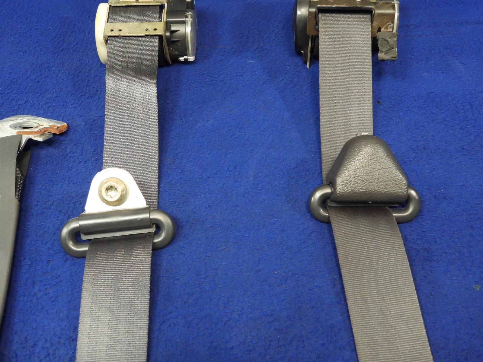 01 2001 Ford Mustang DK Charcoal Coupe Seatbelt Seatbelts OEM B64