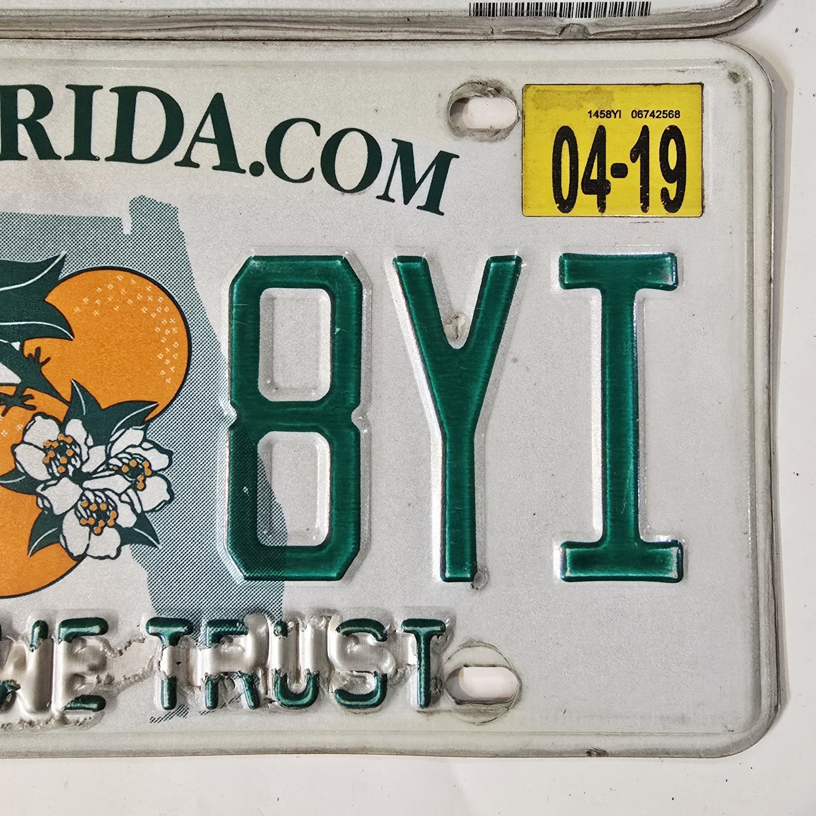 Florida & Arizona License Plate Lot 2 Authentic Tags ANP9391 - 145 8YI 2