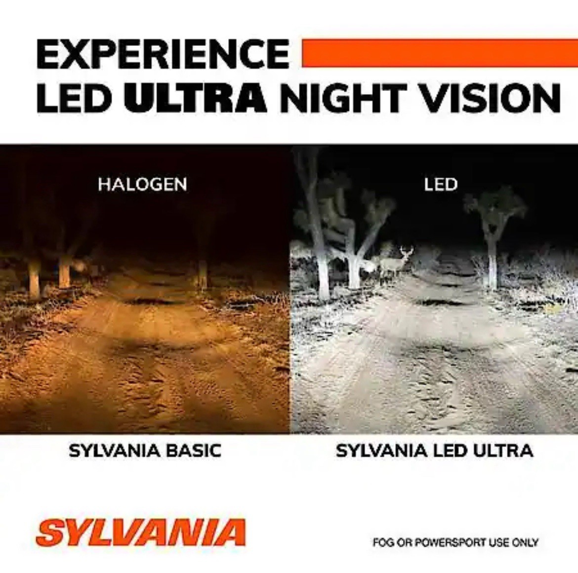 SYLVANIA LED Ultra H11 Fog Light Bulbs 6000K Cool White Bright 🔥JUST ARRIVED🔥