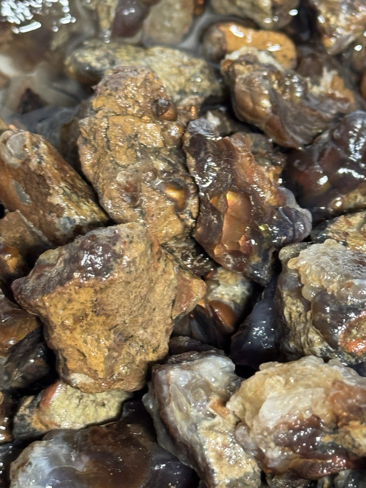 1/2 Lb Mid to Choice Grade Fire Agate Smalls Untreated Colorful Blind Grab Rough