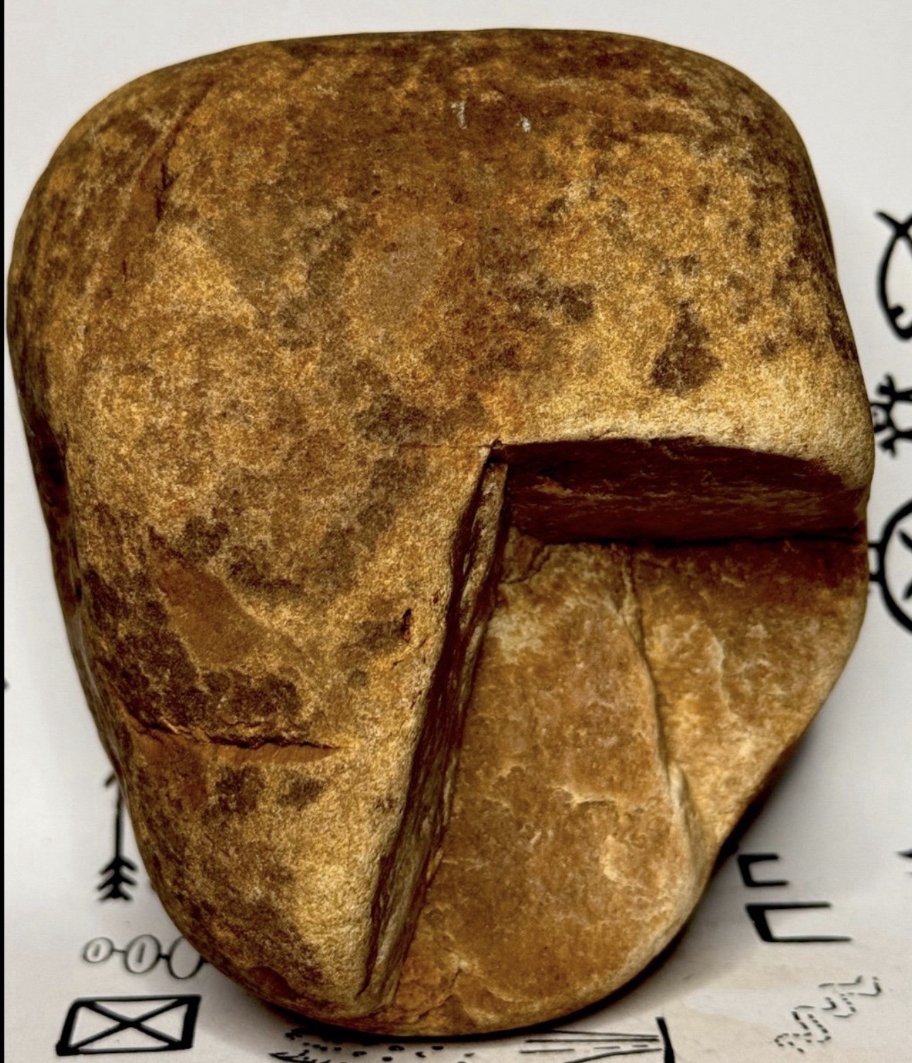 Native American Indian Authentic Artifact Stone Carved Effigy, 3 lb 2 oz • VA