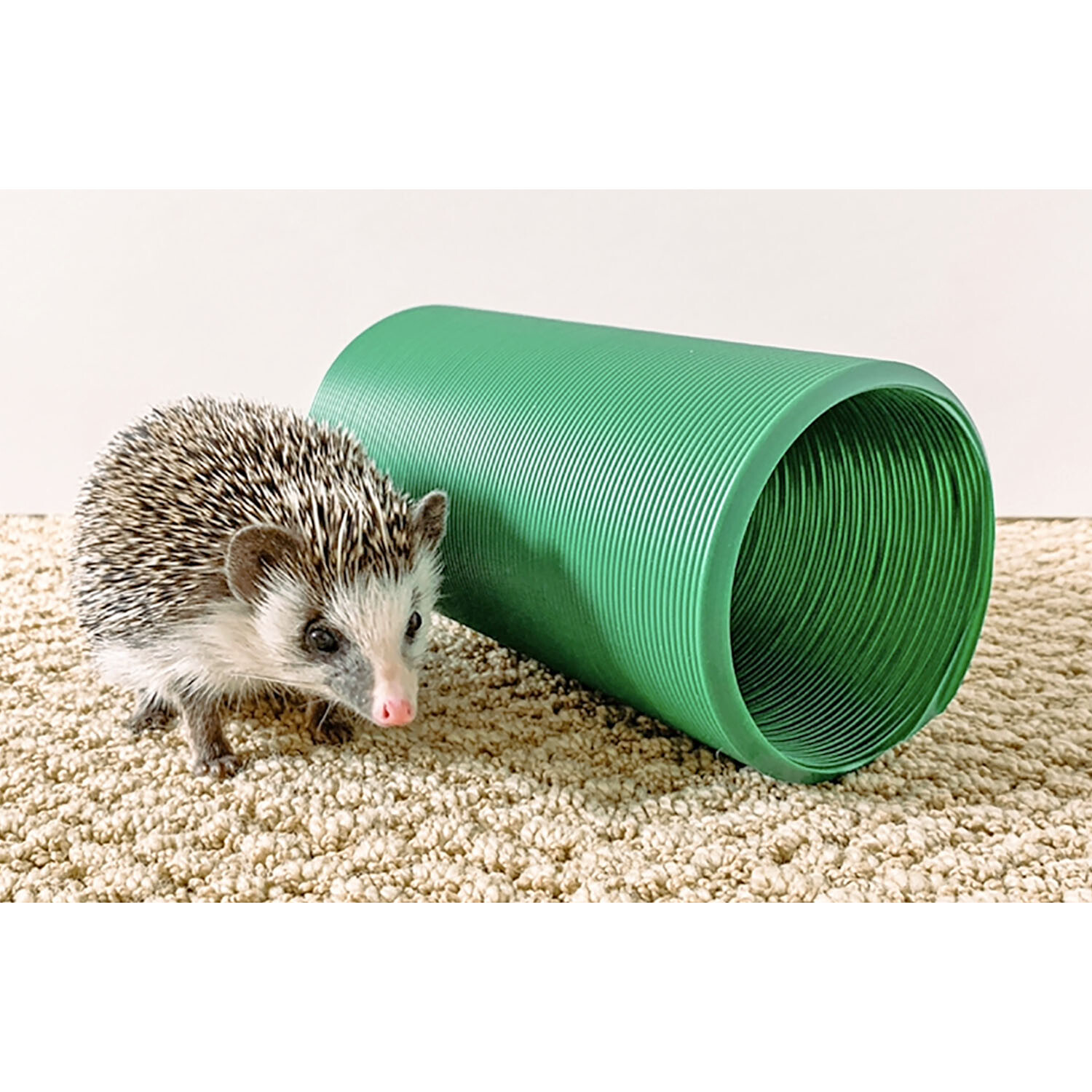 Xpand Tunnel - Cage Accessory - Sugar Glider, Hedgehog, Rat, Gerbil, Hamster