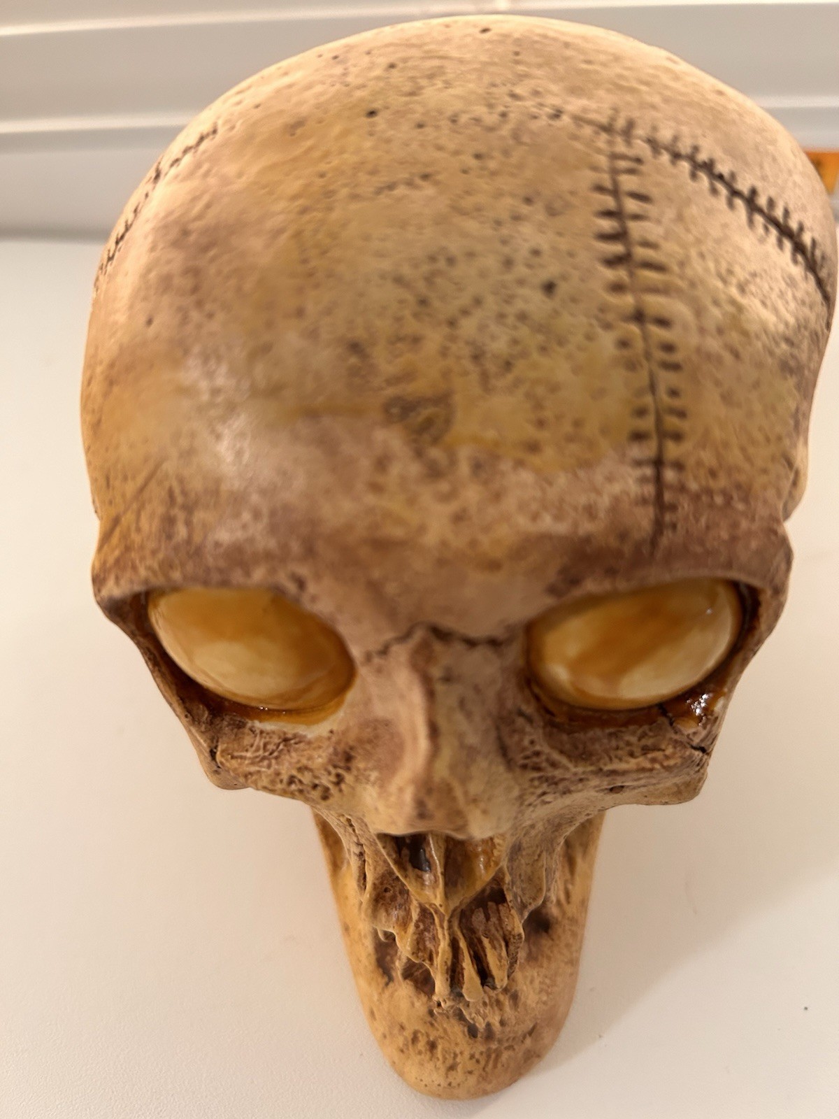 VINTAGE RANDOTTI SAMPLE "GOOGLE YELLOW EYED SKULL" STILL GLOWS IN THE DARK