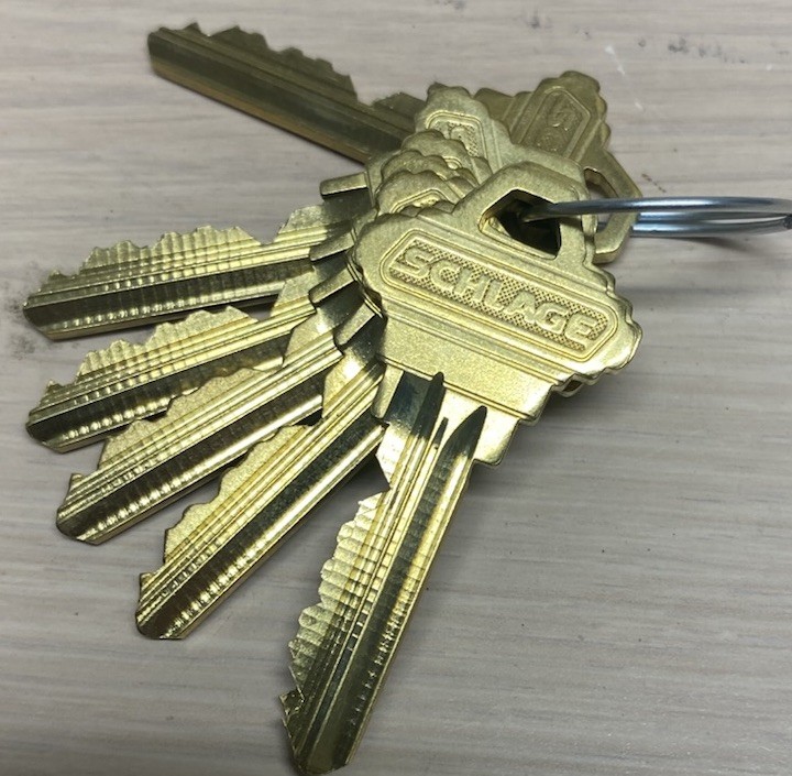 Schlage Primus High-Security Cylinders | Restricted Keyway | Individual