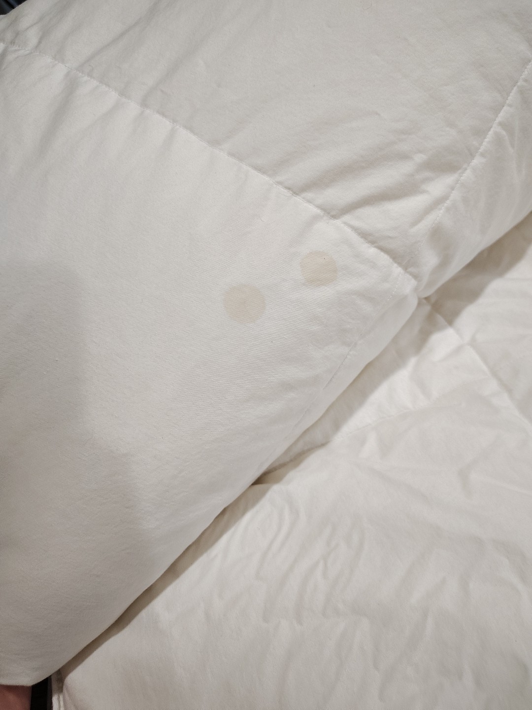 Parachute King/Cal King Lightweight Down Quilt/Duvet Insert