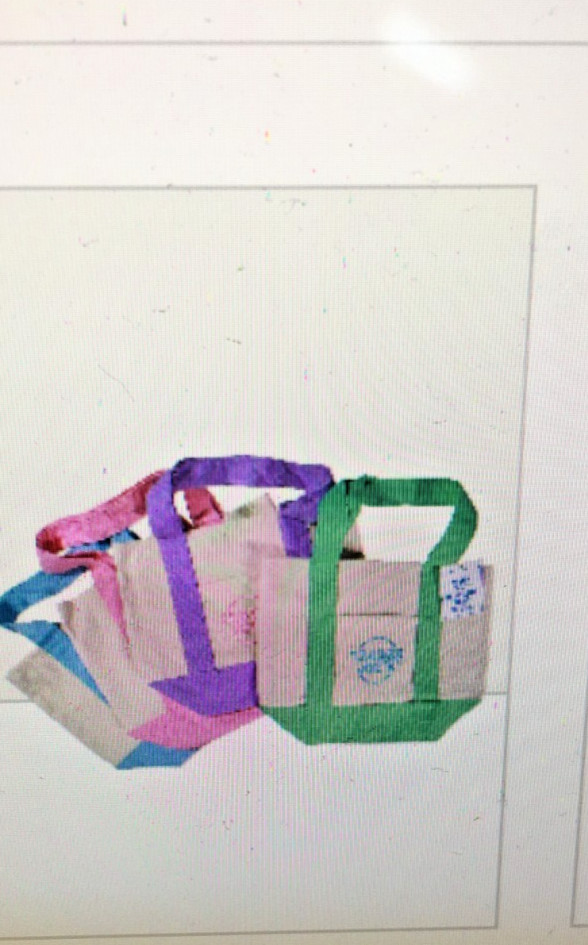 Trader Joe’s 2026 Mini Pastel Canvas Tote Bag Set Of 4 IN HAND READY TO SHIP!!!!