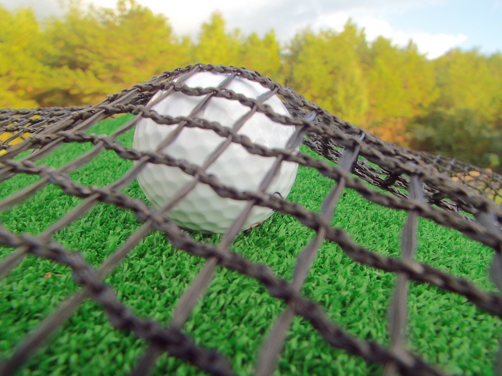 NETTEXX Golf Cage Impact Netting Made in The USA Custom Size Commercial Quality