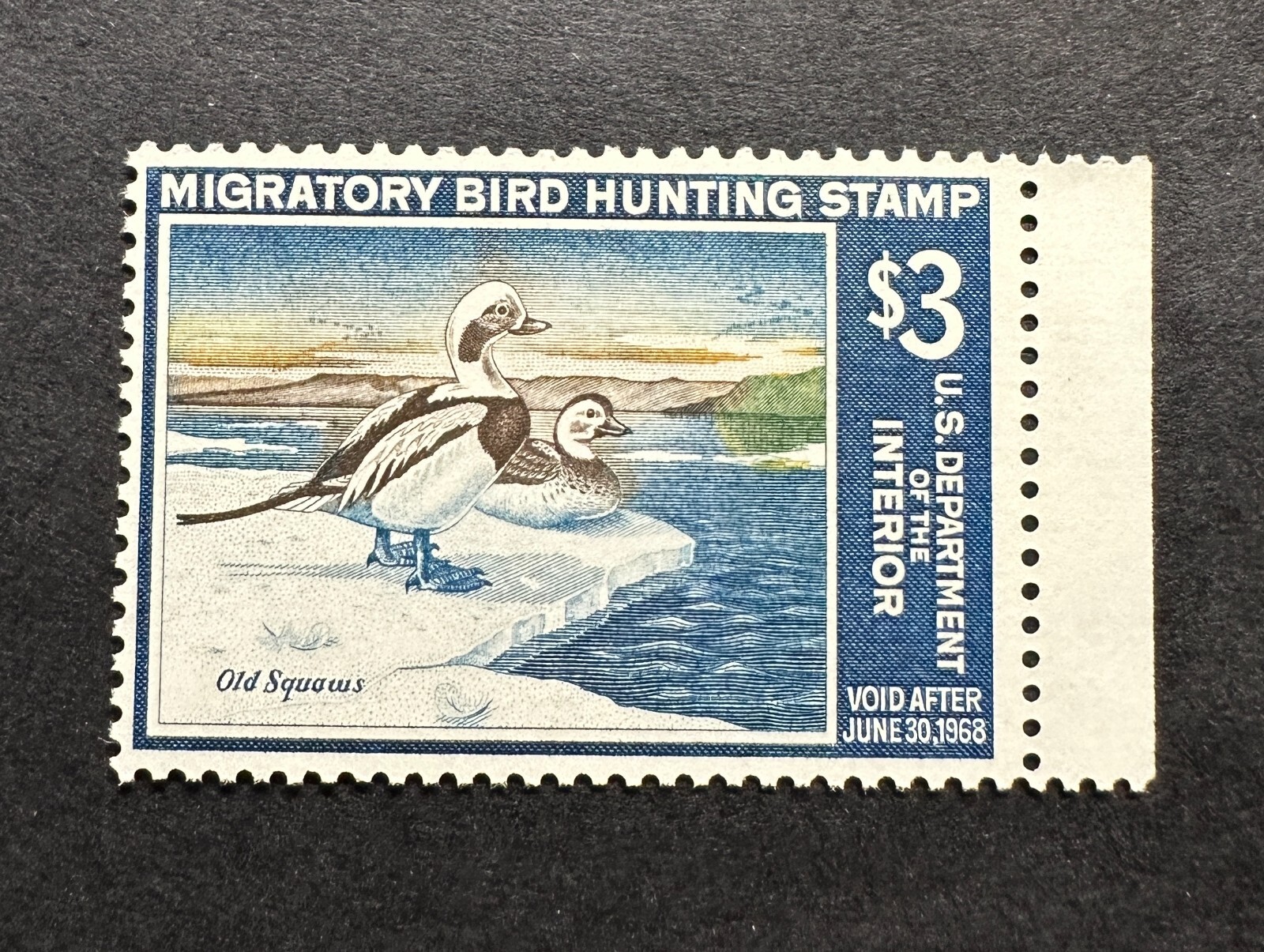 WTDstamps - #RW34 1967 - US Federal Duck Stamp - Mint OG NH