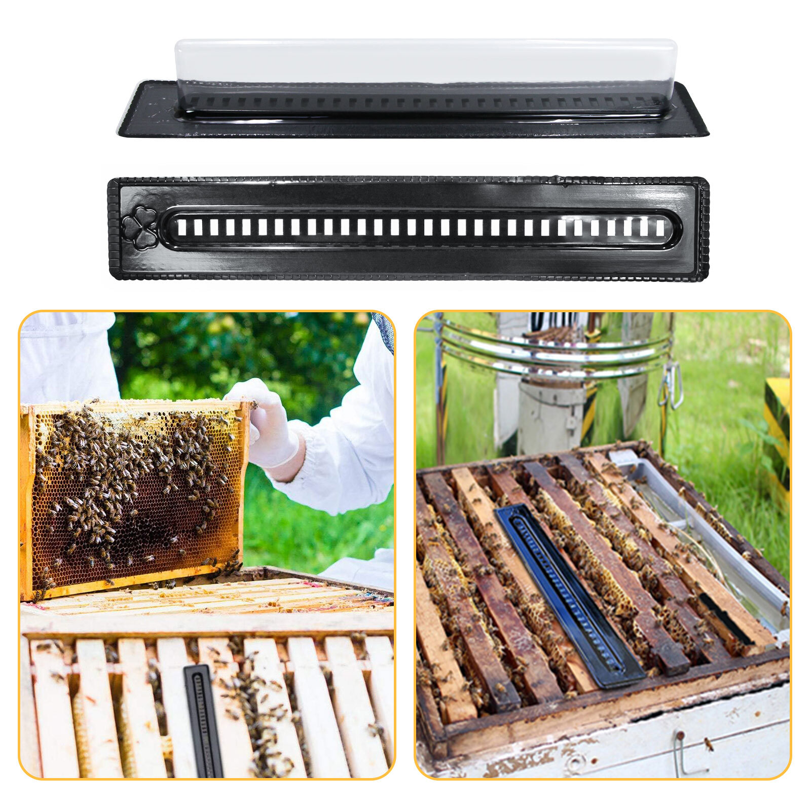 20X Black Bee Hive Beetle Blaster BeeHive Beetle Trap Beekeeping Tool Reusable