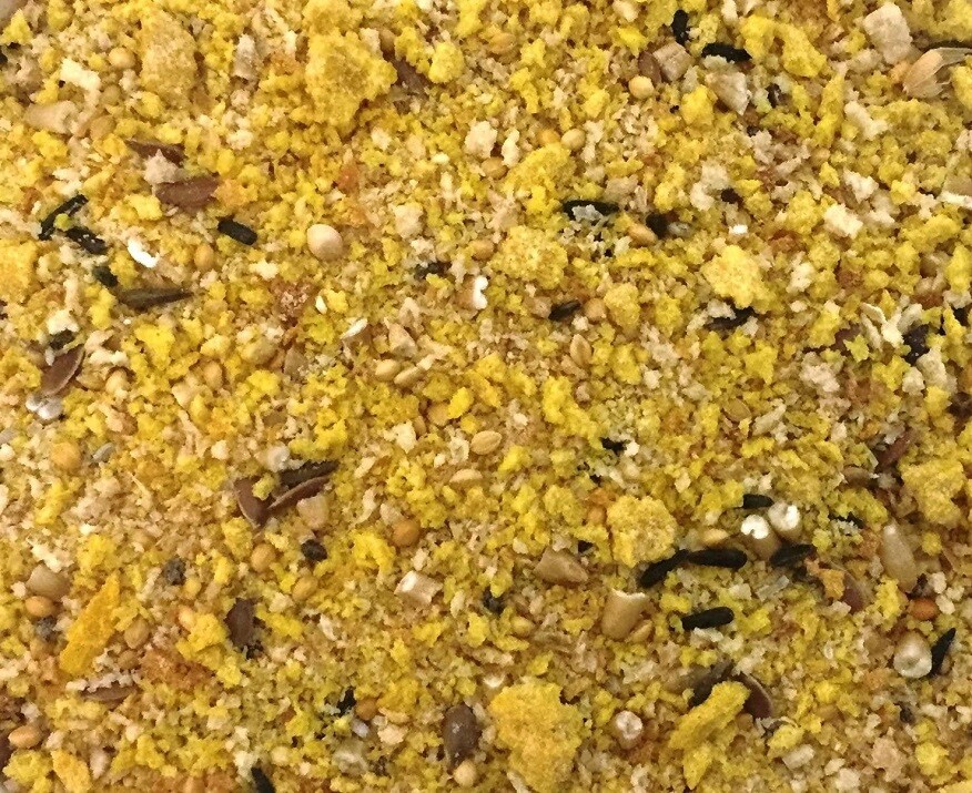 Higgins FRESH PROTEIN EGG FOOD All Birds Parrots Canary Finch Parakeet Cockatiel