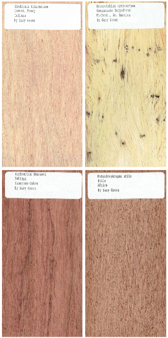 40 pc. Set of 1/2 x 3 x 6" Wood Samples for Collecting, Knife Scales, etc. Set 1