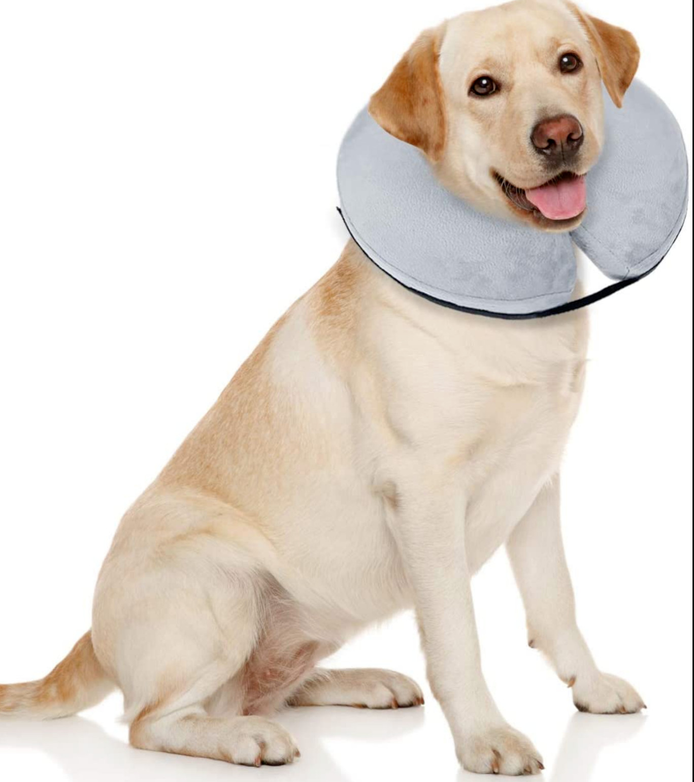 Dog Soft Inflatable Recovery Collar Cone Puppy Cat Pet Adjustable Gray XS S M L