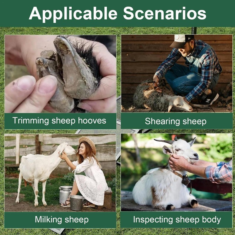 Livestock Stand Goat Milking Trimming Stand W/Ramp Adjust Height Nose Loop