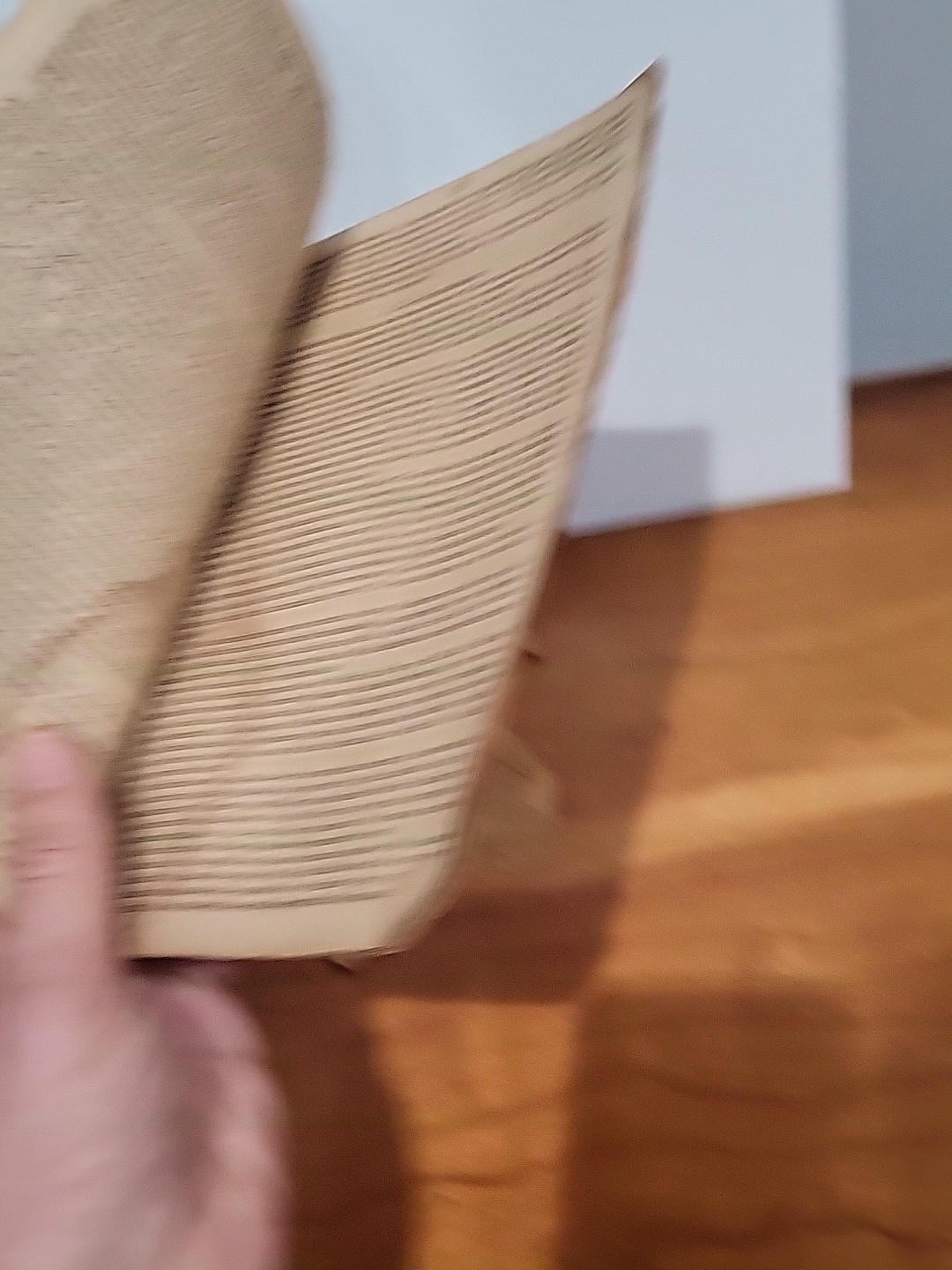 1847 First Edition Peace With Mexico Albert Gallatin ANTI-WAR Annexation Texas