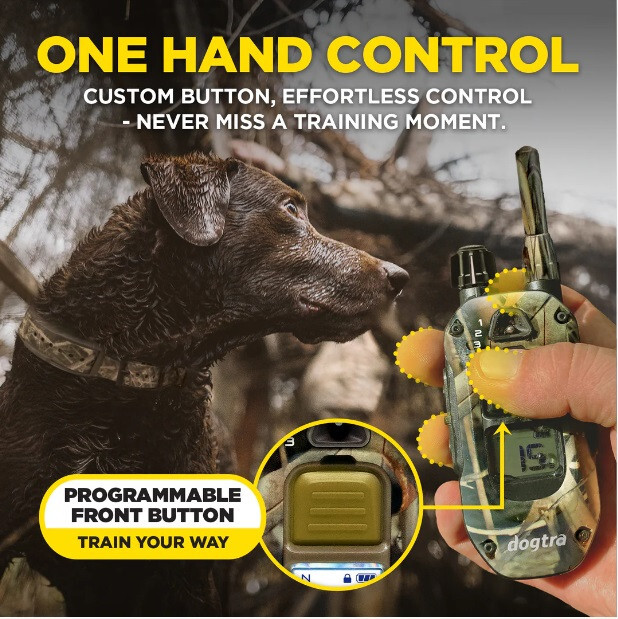 Dogtra 1900X Camouflage Dog Trainer Remote E-Collar 3/4 mi, Tone & XPP Vibration