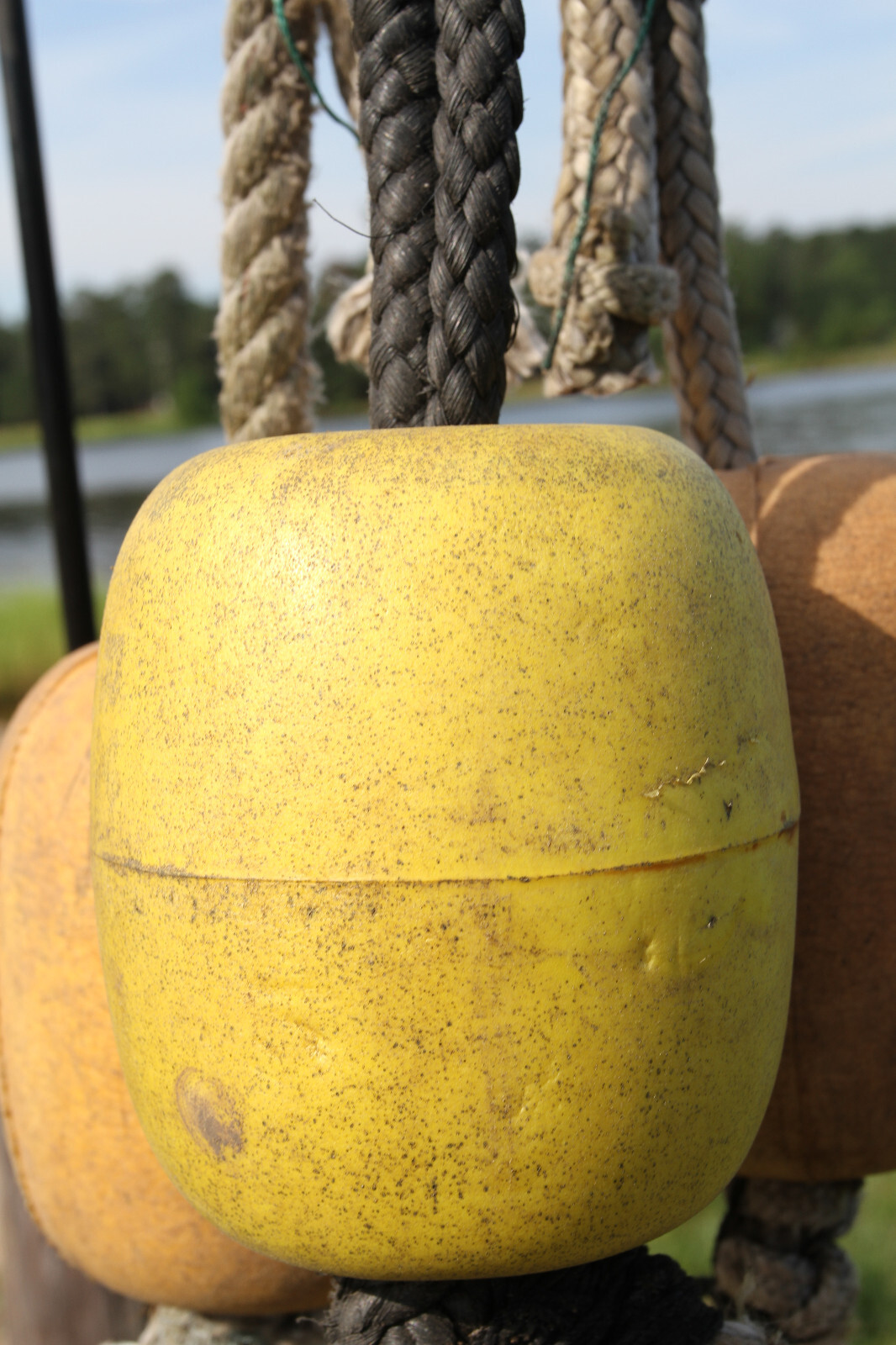 6pc COASTAL DECOR,  Resaurant Wall Decor, Single Floats, Shrimp Decor, LTS - 22