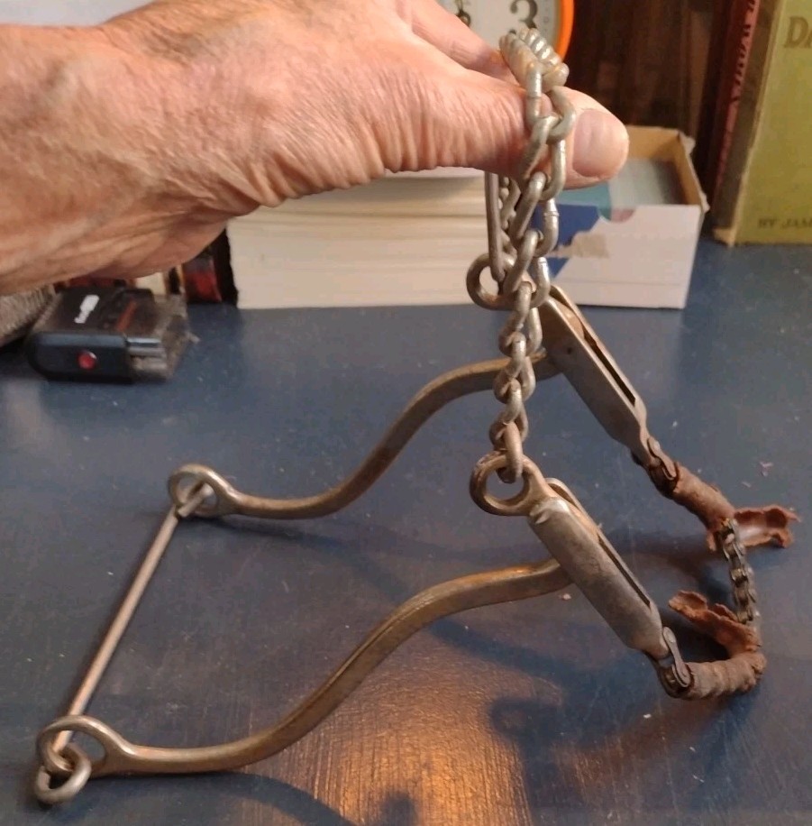Vintage TRAMMELL Horse Tack. Hack-a-more/ Bit