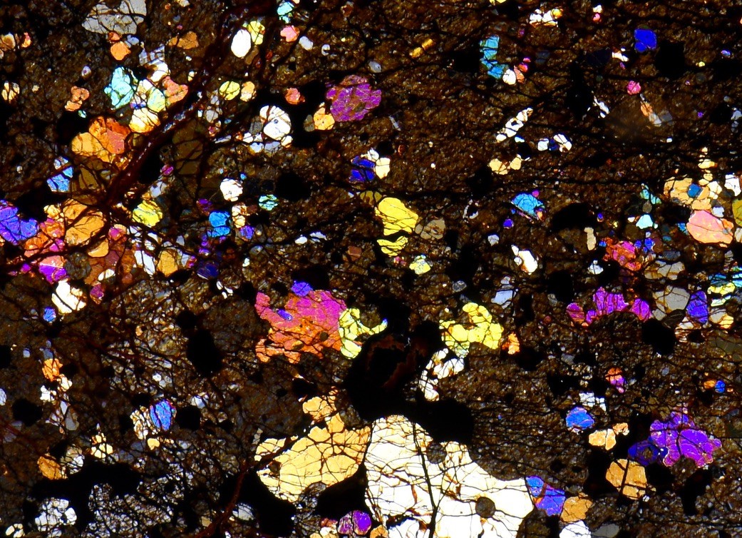 Meteorite NWA 16394 - rare WINONAITE Achondrite Microscope Slide Thin Section